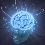 cerveau 4 cerveau 4