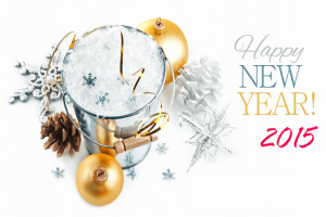 Happy-New-Year-photo-2015